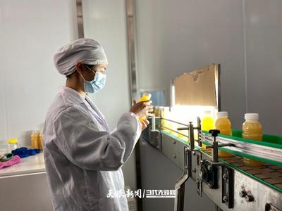 六盤水 產業(yè)轉型蹄疾步穩(wěn)，獼猴桃變身“致富果”