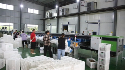 修文縣首個即食獼猴桃加工中心建成投用，開啟獼猴桃產業(yè)發(fā)展新篇章